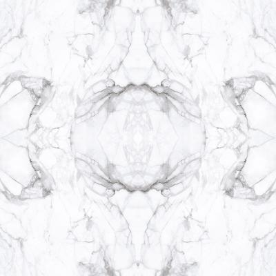 E017061 00 Mirrored Marble